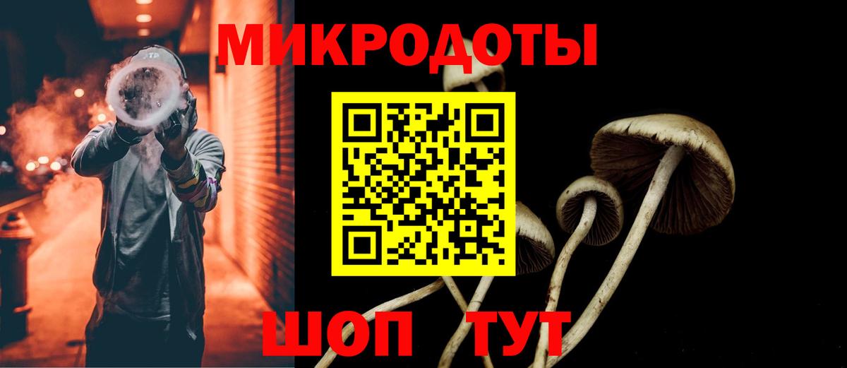 Галлюциногенные грибы Psilocybe Зеленогорск